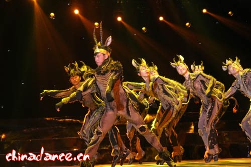 東北師范大學《羚羊的外套》